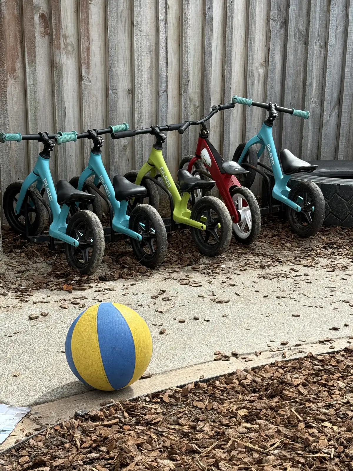 Five balance bikes parked in a row against the timber fence with a yellow and blue ball on the path.